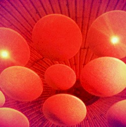 Closer Came the Light