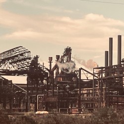 Worker Seeks Security