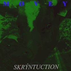 Skrýntuction