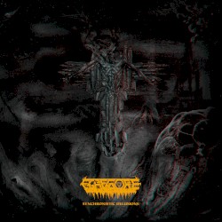 Synchronistic Delusions