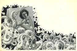 Brotherhood of the Cod: 13 Tales From a Fylde Coast Fish Cult.