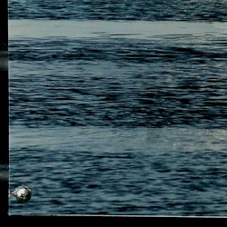 Toki ni wa Naida Umi no Youni (Nicht allein)