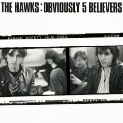 Obviously Five Believers