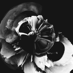 Empreinte Musicale 1