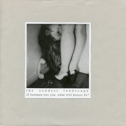 The Saddest Landscape / If Footmen Tire You, What Will Horses Do?