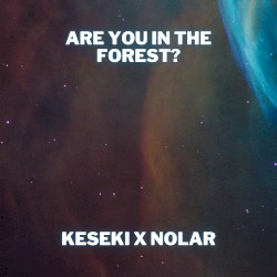 Are you in the forest?