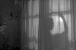 The Life We Have Is Hidden in the Lies Between the Covers; Articulate Hymns to Not Be Born Again as a Homo Sapiens