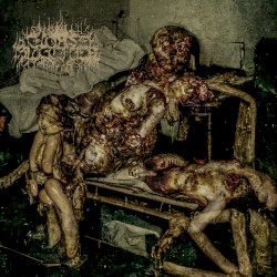 Horse Butcher