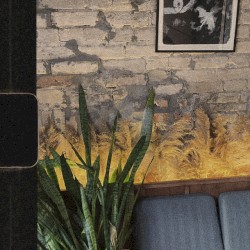 Slowdown Sessions II