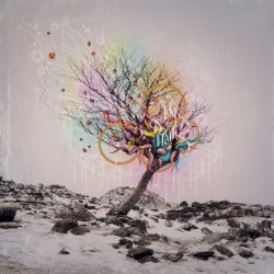 Color in Your Hands
