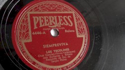 Albricias / Siempreviva