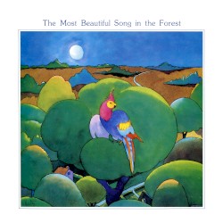 The Most Beautiful Song in the Forest