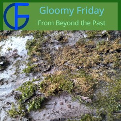 From Beyond the Past