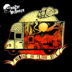 Hiding In Plain Site