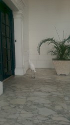 Break On Through (to the Other Side) (Revazz edit)