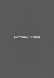 Орбита 4