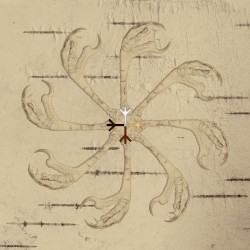 Birch EP: A Collection of Unreleased Material