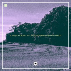 lichen // fragmented