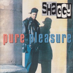 Pure Pleasure