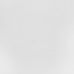 Conjectures