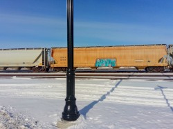 Fairchild Virtual Field Trip Eleven