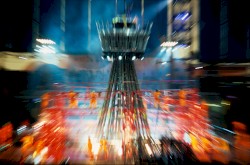 The Tree That Went Up