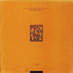 ביקור מולדת