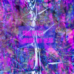 Inside My Head