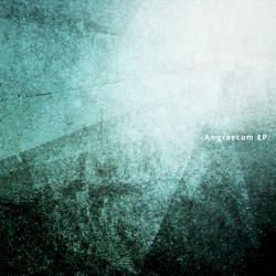Angraecum EP