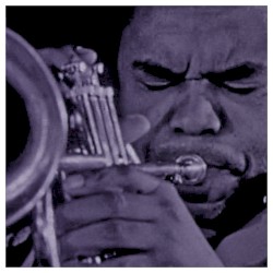 1973: Live in Zonderschot