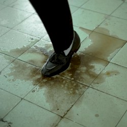 No Creas Que Ha Sido Fácil