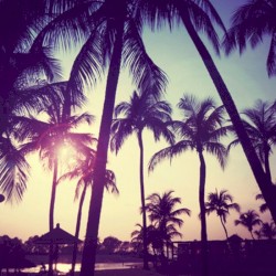 Thats How Life Goes (NeguimBeatsRemix)