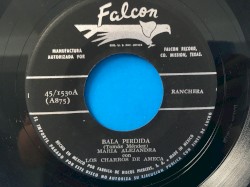 Bala perdida / Nada perdimos