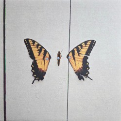 Brand New Eyes