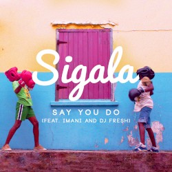 Say You Do (radio edit)