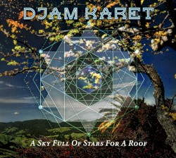 A Sky Full of Stars for a Roof