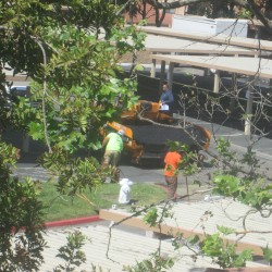 Road Construction