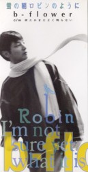 雪の朝、ロビンのように