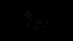 名の無い星が空に堕ちたら