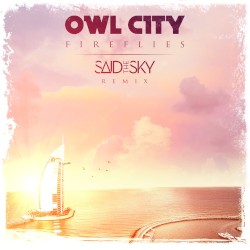 Fireflies (Said The Sky Remix)