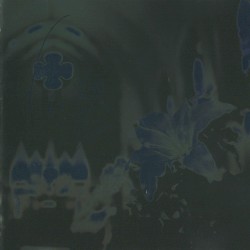 Lost in Blue