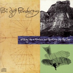 Wishing Like a Mountain and Thinking Like the Sea