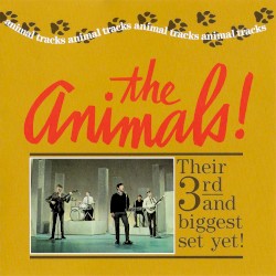 Animal Tracks