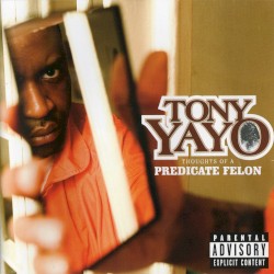 Thoughts of a Predicate Felon