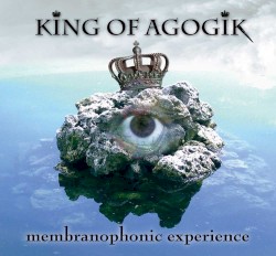 Membranophonic Experience