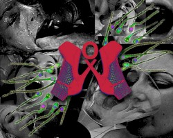 An Immense Gallery of Sperm