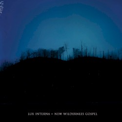 New Wilderness Gospel