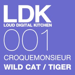 WILD CAT / TIGER