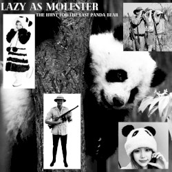 The Hunt for the Last Panda Bear