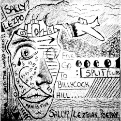 Five Go to Billycock Hill